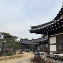 이천가산초교 | 주차장 있는 이천 한옥 카페 희원 후기