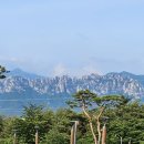 동해시-54 | 파인리즈CC 라운딩 후기 — 설악산과 동해 사이, 뷰와 뷔페는 최고 그러나 당일 불가