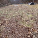 터골농원 이미지