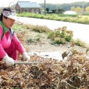 민통선농가집 이미지