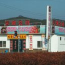 오리와돼지 이미지