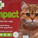 햇살가득약국 이미지