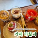 카페하월지 | [카페공부] 강릉 주문진 한옥 카페 반려동물 동반 가능 카페 하월지 내돈내산 후기
