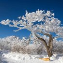 아름다운날 이미지