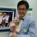 선릉동물병원 이미지