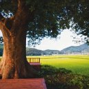 선녀와나무꾼 - 경주시 동남로 496-11 | 선녀와나무꾼