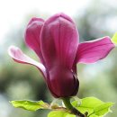 그리움한잔 이미지