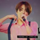 세훈여행사 | 150621-21 :) 엑소 태국 콘서트...엑뽕 맞고 천국가겠습니다 ♡