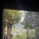 스테이더담 경주산내점 이미지