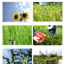 함줄공원 이미지