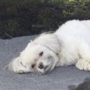 바림 헤어