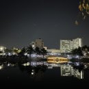 금별다방