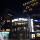 광안당안경 | 광안리 핫플 블루엘리펀트, 가성비 폭발하는 선글라스 &amp; 안경 쇼핑 후기 🕶️