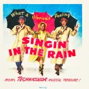 사랑은 비를 타고 이미지