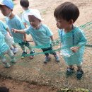 풍림농장 이미지