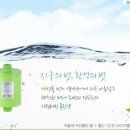 총각빌리기