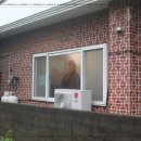 표선생각 이미지