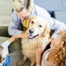 24시 애니동물병원 이미지