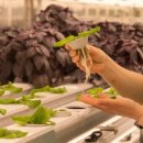 태평성대협동조합 이미지