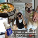 도이치트럭판매서비스(주) | [ 청주 1박 2일 여행 ] 돼지짜글이 서울닭발 운리단길 내돈내산 여행 코스 추천