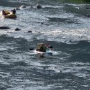 뇌운계곡사람들 이미지