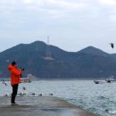 도양-5호 이미지