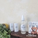 여름철 필수 아이템 모스큐브(모기퇴치제)만들기 | 울산 모스큐브 모기퇴치제 버물리단체수업 출강수업