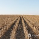 현대아그로