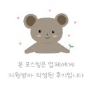 우리집막내 | 파주고양이입양 펫루나에서 만난 우리 집 소중한 막내 후기