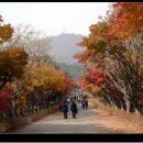 2019년 11월 7일 제 837차 빛고을새즈믄산악회 정기산행안내 흑성산(519m)단풍산행,독립기념관(천안) 이미지