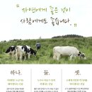 새벽목장 | 매일유업 직영스토어[새벽배송] 상하목장 유기농 멸균 우유 200ml 24팩