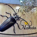 나르다판매점 이미지