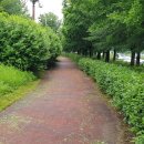 구리왕숙체육공원 이미지