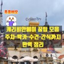 캐리비안 | 캐리비안베이 후기｜비 오는 날 물놀이 꿀팁 &amp; 준비물 총정리