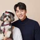 위풍댕댕 이미지