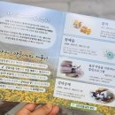 강빛꽃두레 협동조합 이미지