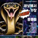 더함미술교습소 - 북구 첨단연신로108번길 149 | 더함미술교습소