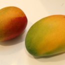 컴퓨터백화점 이미지