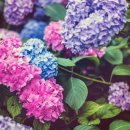 테크누리 이미지