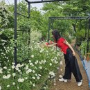 꽃이랑나무랑 이미지