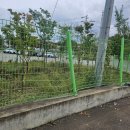 새로이농장 | 경산 차로 받아 파손된 메쉬휀스 부분 교체 수리