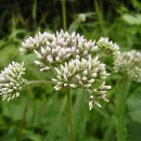 우면산3-17 이미지