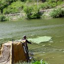 매화 공설시장 이미지