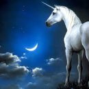 유니콘 이미지