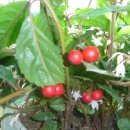 용순농장 이미지