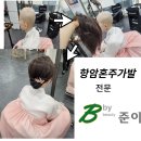 비바헤어 이미지