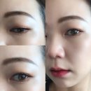 코코속눈썹