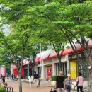 영통 홈플러스 앞 이미지