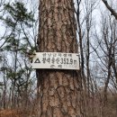 삼박골산 정상 이미지