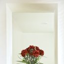 제주클래식위미 이미지